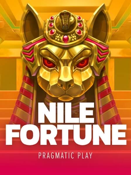 Mobile Experience: Playing HashDice Casino on Phones and Tablets